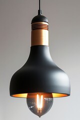 Poster - A modern pendant light with a matte black dome shade and brass accents, sleek and elegant, isolated on a white background.