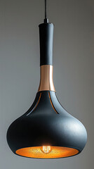 Poster - A modern pendant light with a matte black dome shade and brass accents, sleek and elegant, isolated on a white background.
