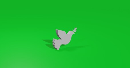 Poster - Isolated realistic white dove of peace symbol front view with shadow. 3d illustration on green chroma key background