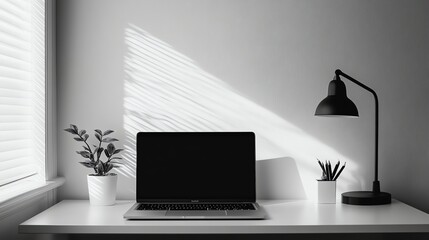 Poster - A laptop, a lamp, and a plant sit on a desk.