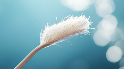 Wall Mural - Delicate White Flower Against A Blue Background