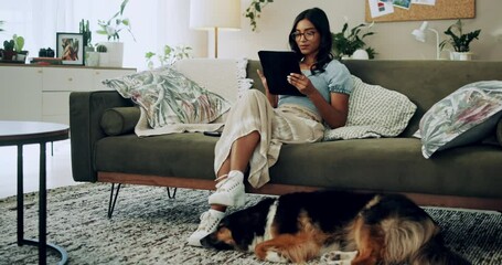 Wall Mural - Tablet, reading and woman with dog in home for bonding, scroll social media or planning blog with animal. Pet, digital technology and relax on sofa, think or Indian girl with idea for online shopping