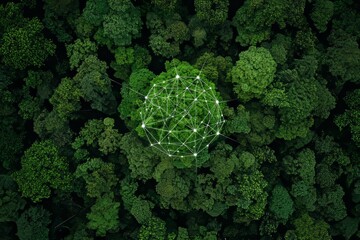 Poster - An aerial view of a green forest at dawn with glowing technological communication lines, created with Stock.