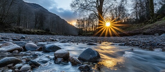 Poster - Leafless tree at dawn with warm sunlight and rocks in foreground near serene river landscape under a clear blue sky