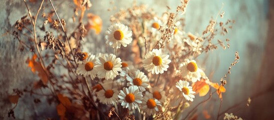 Aufkleber - Daisy bouquet in craft paper decoration with dried flowers against a textured wall in soft natural light setting