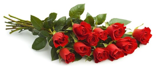 Poster - Elegant red rose bouquet on a clean white background showcasing beauty and romance ideal for floral arrangements and special occasions.