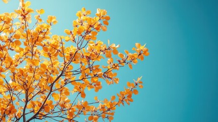 Poster - Golden foliage against a bright blue sky showcasing the beauty of nature in autumn tranquility and vibrant colors