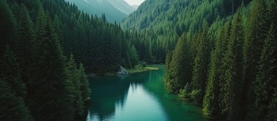 Poster - Aerial view of serene forest and lake landscape showcasing nature's beauty ideal for travel and tourism concepts and environmental themes.