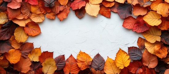 Poster - Autumn leaf border on white background flat lay view with ample space for seasonal text or design elements
