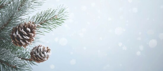 Poster - Evergreen branch with snow-covered pine cones on a soft blue background ideal for winter holiday designs and seasonal greetings