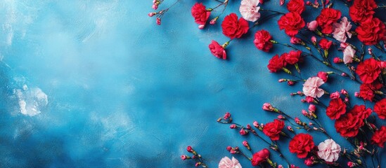 Poster - Vibrant carnation flowers arranged on a blue background with plenty of copy space for design and advertising purposes
