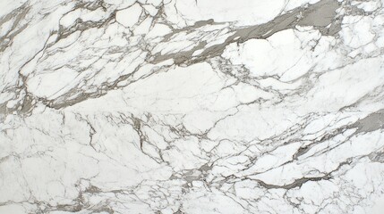 Poster - White marble surface texture featuring intricate natural veining ideal for backgrounds or design projects.