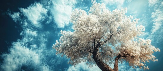 Poster - Majestic snow-covered tree against a dramatic blue sky during the serene winter season