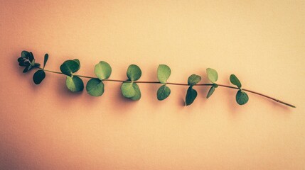 Poster - Eucalyptus branch with vibrant green leaves on a soft beige background top view minimalist botanical aesthetic