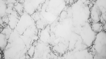 Poster - Large high-resolution marble stone texture featuring intricate gray veining on a white background, ideal for backgrounds, patterns, and design projects, texture, surface, luxury.