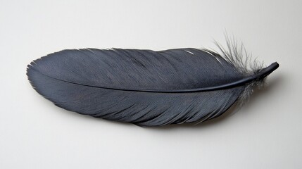 Poster - Black bird feather lying flat on a smooth white background, emphasizing its intricate textures and natural details, nature, minimalism, close-up, simplicity.