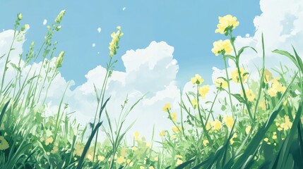Aufkleber - Vibrant canola field under a clear blue sky with wispy clouds and blooming yellow flowers depicting a serene agricultural landscape