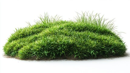 Poster - Lush green grass clump isolated on white background ideal for design and advertising showcasing natural landscaping elements.