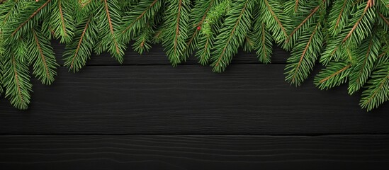Poster - Christmas fir branches beautifully arranged on a rustic black wood background creating a festive and elegant winter atmosphere