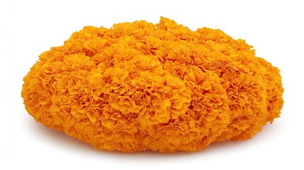 Poster - Detached bright yellow marigold flowers arranged on a clean white background, emphasizing vibrant color and floral texture, nature, gardening, decoration, botanical.