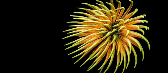 Poster - Vibrant fireworks display against a dark backdrop creating a stunning visual contrast for celebrations and festivities