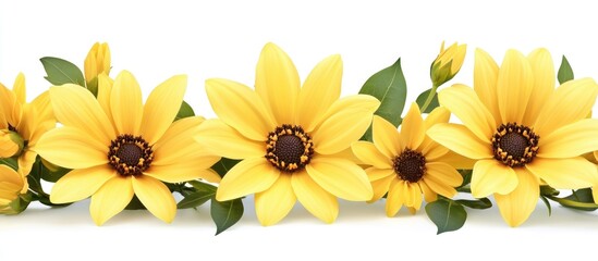 Poster - Vibrant yellow daisy flowers arranged in a line with green leaves on a clean white background for botanical or floral design concepts