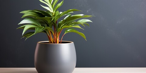 Wall Mural - plant in a vase