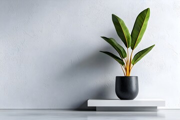 Poster - Serene minimalist office environment showcasing a clean white wall foundation offset by the lush verdant tones of a thoughtfully curated potted plant rendered in a photographic technique