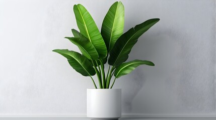 Poster - Streamlined and Serene Office Interior with Vibrant Greenery and Natural Lighting   Minimalist Corporate Workspace Design with Clean White Walls Modern Decor and Tranquil Ambiance
