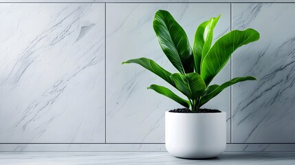 Poster - Refined and minimalist white office interior with elegant potted plant clean lines sleek modern design natural lighting and high key contemporary aesthetic