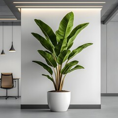 Poster - Bright and airy contemporary office interior with stark white walls modern furnishings and a lush potted plant adding a natural touch