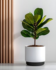 Poster - Sleek and sophisticated monochromatic office space with crisp white walls a captivating indoor plant and diffuse natural illumination that creates a calming and professional atmosphere