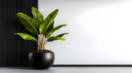 Poster - Bright and Airy Minimalist Office Design with Potted Plant Contemporary Style and Abundant Natural Lighting Reflecting the Influence