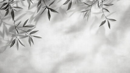 Poster - Tropical leaf shadows creating a serene light pattern on a textured white wall perfect for nature themed backgrounds and design projects