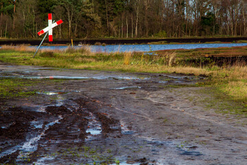 Wall Mural - Moor hike in Overlahe Germany