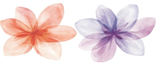 Poster - Elegant Watercolor Blossom Illustrations with Soft Color Palette for Calligraphy and Design Projects