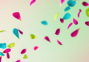Poster - Bright pink, turquoise, and green flower petals gently falling against a soft pastel backdrop