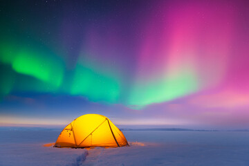 Wall Mural - yellow tent lighted from the inside against the backdrop of incredible starry sky with purple and gr