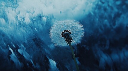 Poster - Dandelion Seed Head Against A Blue Background