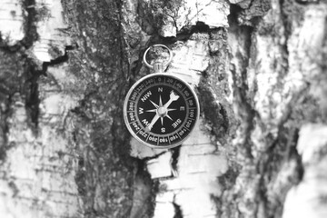 Wall Mural - classic navigation compass on natural background