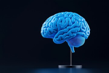 Poster - Illuminated human brain model, stock image, representing neural network concept, Stock.