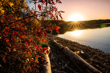 Wall Mural - a beautiful sunset over a lake with a tree in the foreground