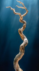 Poster - Crafted with intricate detail, this driftwood sculpture twists elegantly upwards, illuminated by soft light. Its organic shapes evoke a sense of natural beauty and artistic expression
