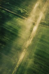 Wall Mural - water irrigation system spraying a green crop field, symbolizing efficient water usage