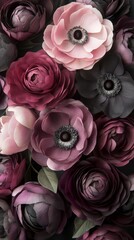 Poster - A captivating arrangement showcases moody peonies and ranunculus, their rich burgundy and soft blush petals harmoniously blending. Elegance exudes from this beautiful floral composition