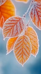 Aufkleber - Vibrant orange leaves hang delicately, adorned with frost that sparkles as the early light filters through a chilly atmosphere, capturing nature's fleeting beauty
