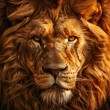 © Erik - Majestic lion portrait, intense gaze, golden mane.