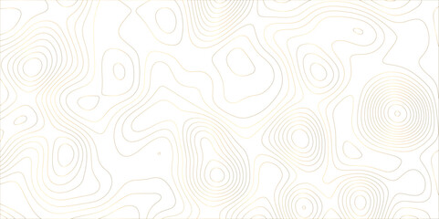 Aufkleber - Abstract white golden gradient Topographic line map pattern background. Contour elevation topographic and textured Background Modern design with White background with topographic wavy patte.	