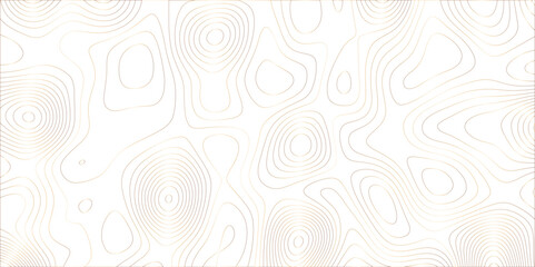 Aufkleber - Abstract white golden gradient Topographic line map pattern background. Contour elevation topographic and textured Background Modern design with White background with topographic wavy patte.	