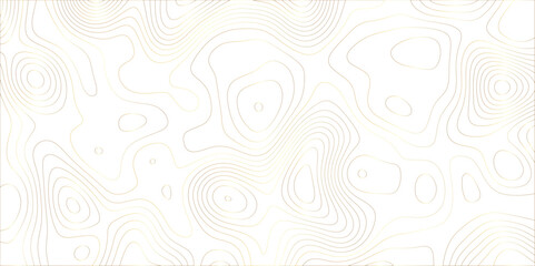 Poster - Abstract white golden gradient Topographic line map pattern background. Contour elevation topographic and textured Background Modern design with White background with topographic wavy patte.	